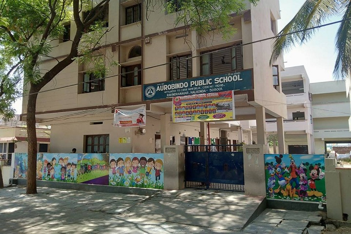 Aurobindo Public School