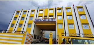 Rays Public School