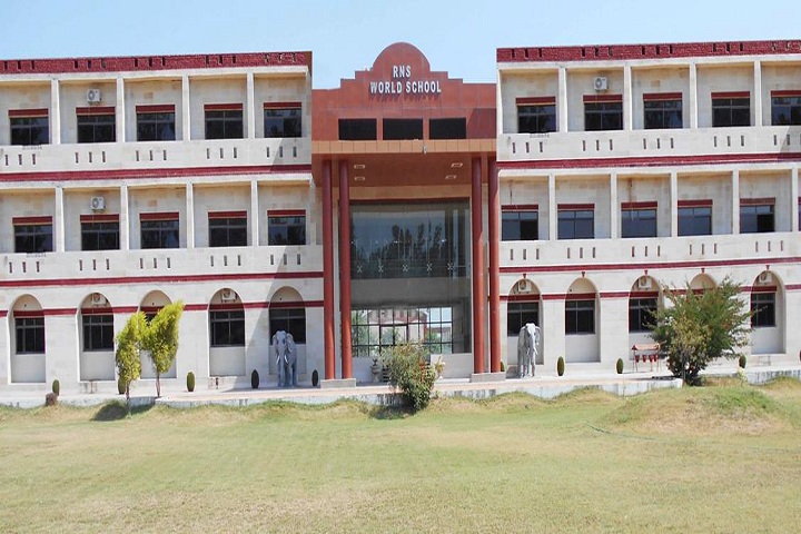 R.N.S World School