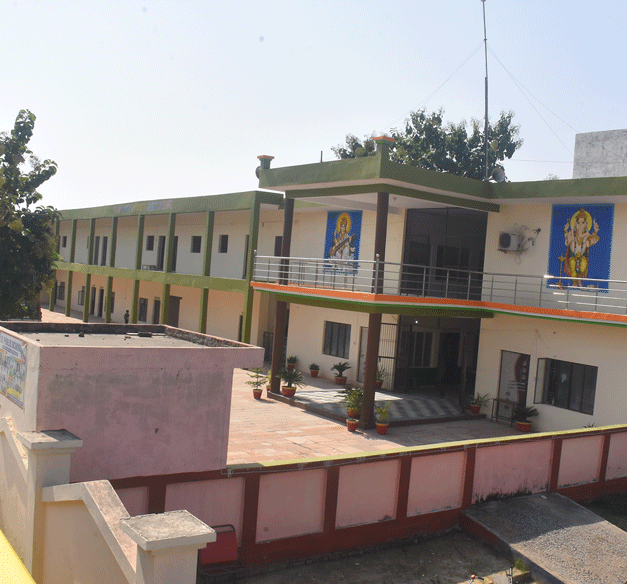 R.V Public School