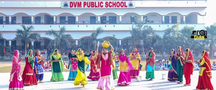 D V M Public School