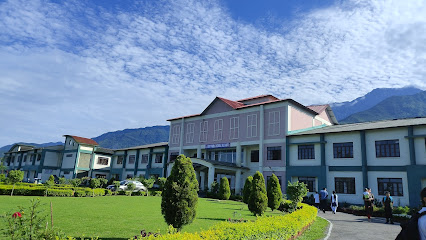 Army public school