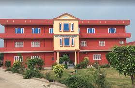 Vidya international school