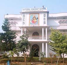 Daffodil Convent School