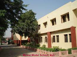 D P S Mewat Model School