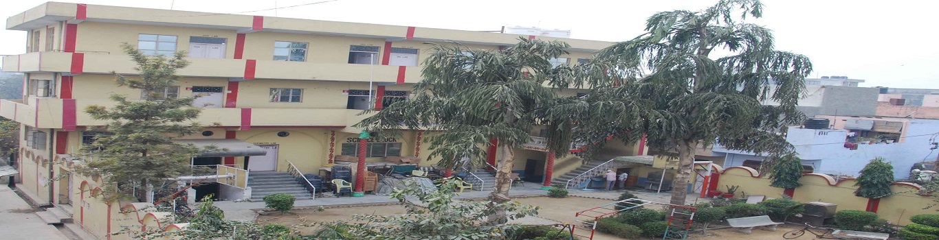 D S Memorial Public School