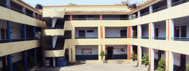 D A V Public School