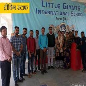 Little Giants International School