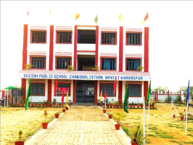 SCS Dav Public School