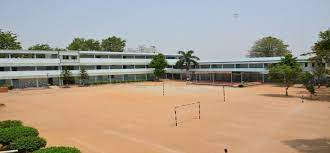 Mb Dav Public School