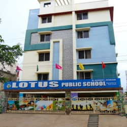 Lotus Public School