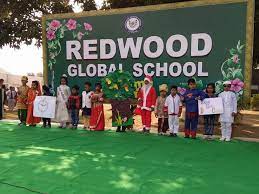 Redwood Global School