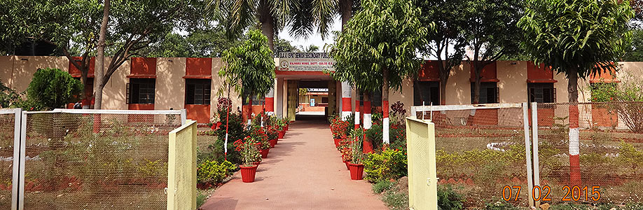 DAV ISPAT SENIOR SECONDARY PUBLIC SCHOOL