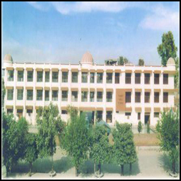 Manav Public School