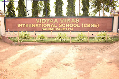 Vidyaa Vikas International School