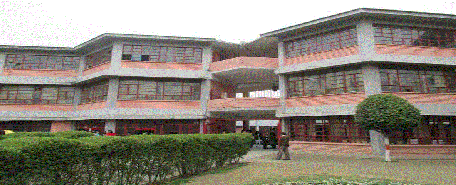 Apeejay School