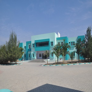 Jay International School