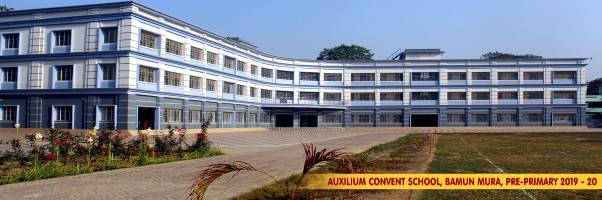 Auxilium Convent School