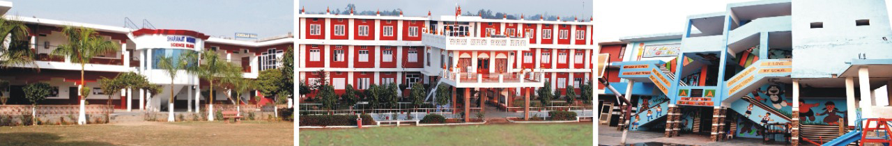 St. Soldier Elite Convent School