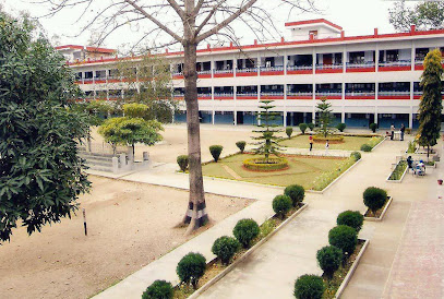 Dav public school