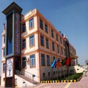 Asha Devi International School