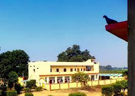 Maa Tripur Sundari Public School