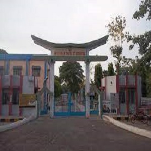 BR DAV Public School