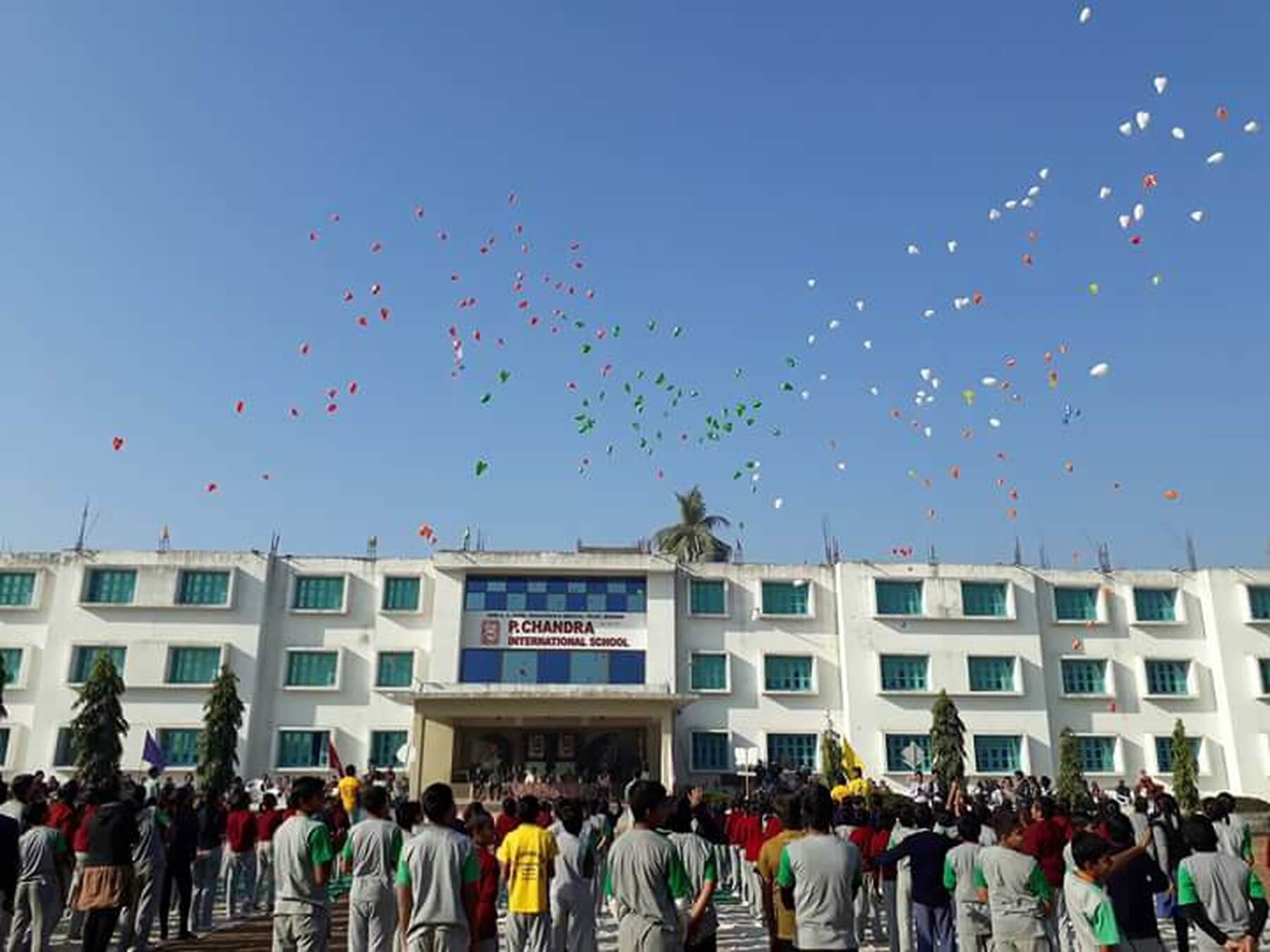 P.Chandra International School