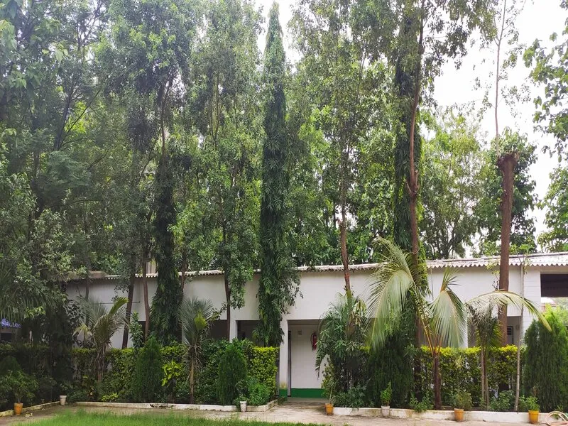 DAV Moti Public School