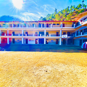 Dhanvantri Public School