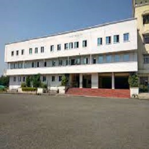 Noel School