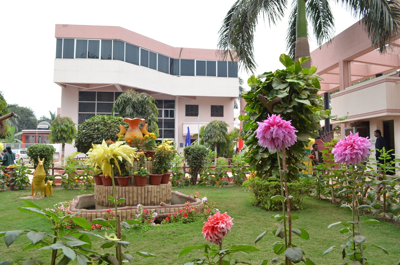 SHRI KRISHNA PUBLIC SCHOOL