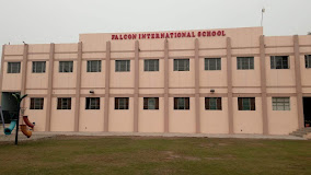 Falcon International School