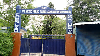 Dav public school