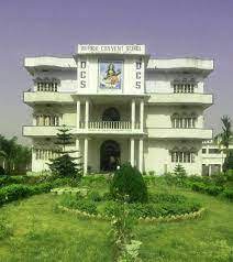 Daffodil Convent School