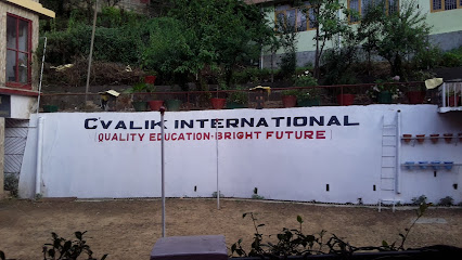 Cvalik international school