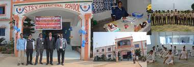 S.T.S.V. International School