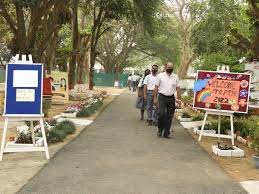 Army Public School