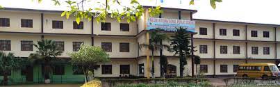 Panjab International Public School