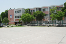 Apeejay School