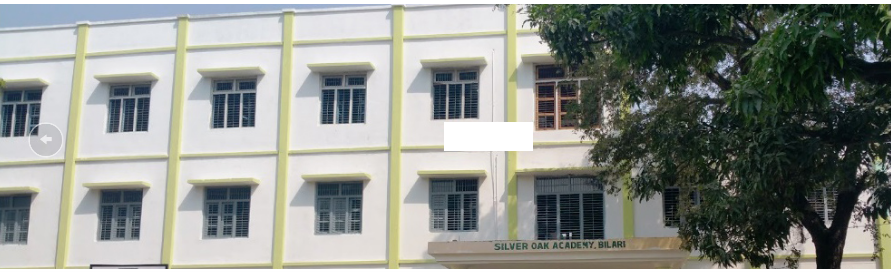 Silver Oak Academy