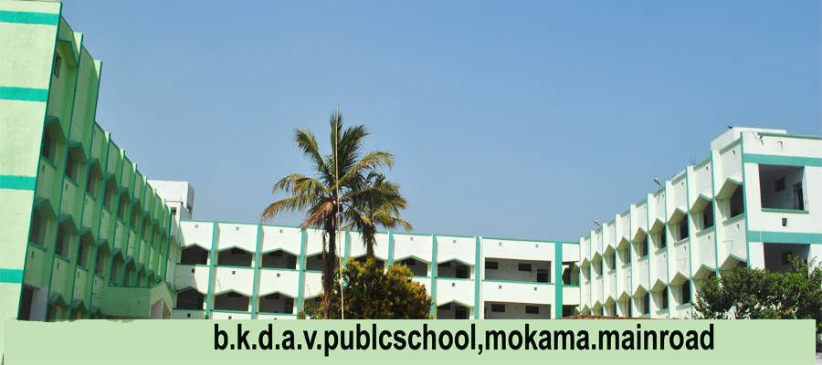 DAV Public School