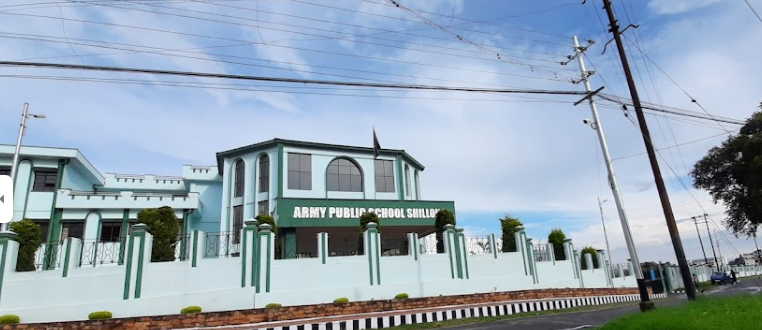 Army Public School