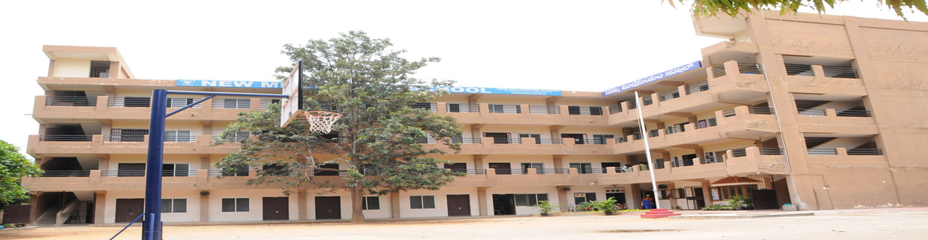 New Millennium School