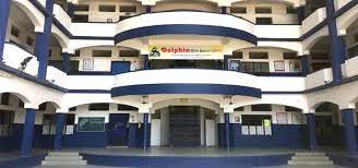 Dolphin Elite School