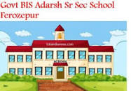 Govt Bis Adrash Sr Sec School