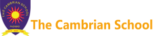 The Cambrian School- https://schooldekho.org/The-Cambrian-School-10380