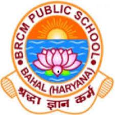 BRCM Gyankunj School- https://schooldekho.org/BRCM-Gyankunj-School-4684