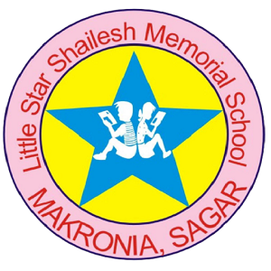 Little Star Shailesh Memorial School- https://schooldekho.org/Little-Star-Shailesh-Memorial-School-4942