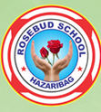 Rosebud School- https://schooldekho.org/Rosebud-School-11147